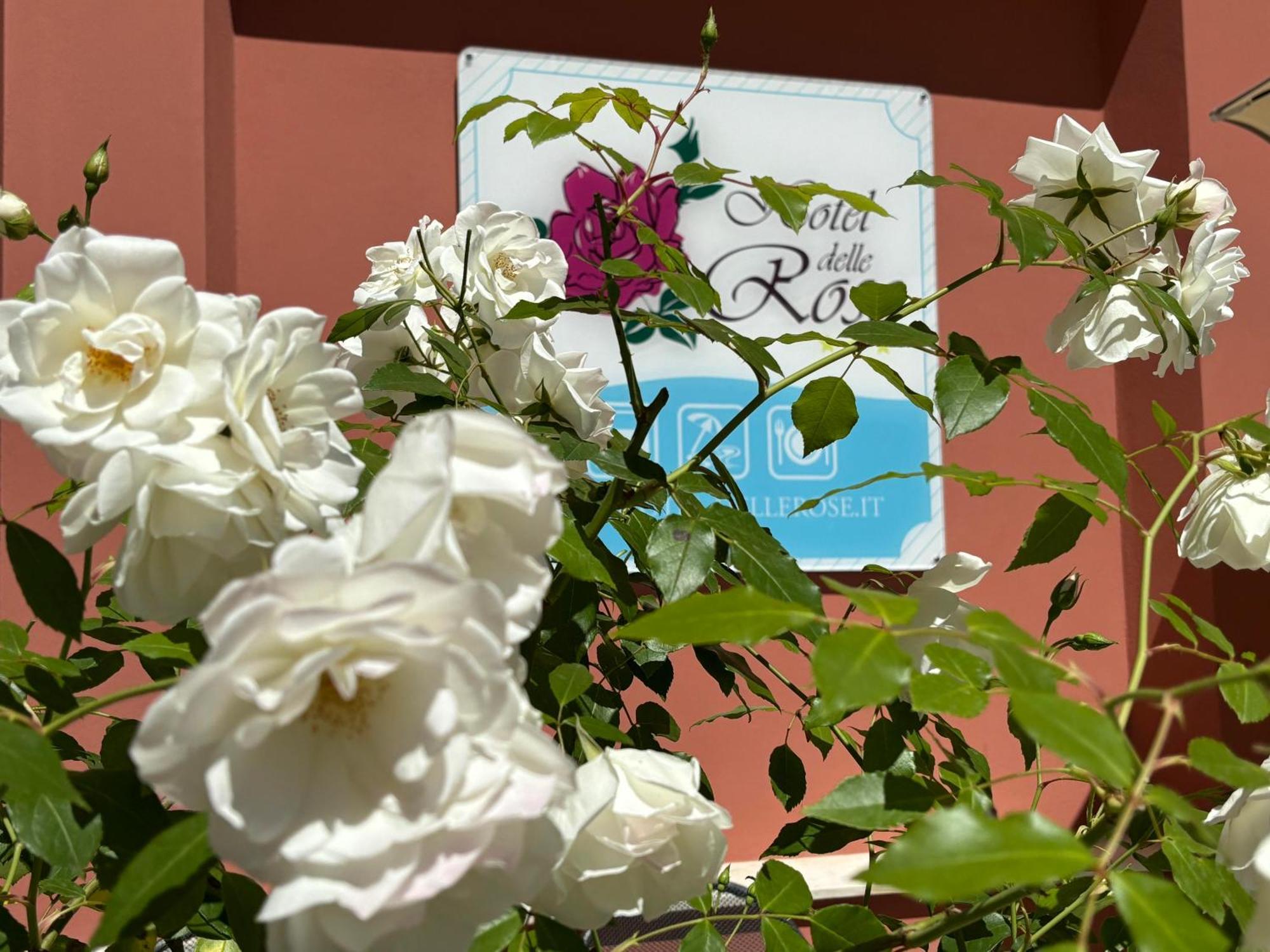 Hotel Delle Rose San Bartolomeo Al Mare Buitenkant foto