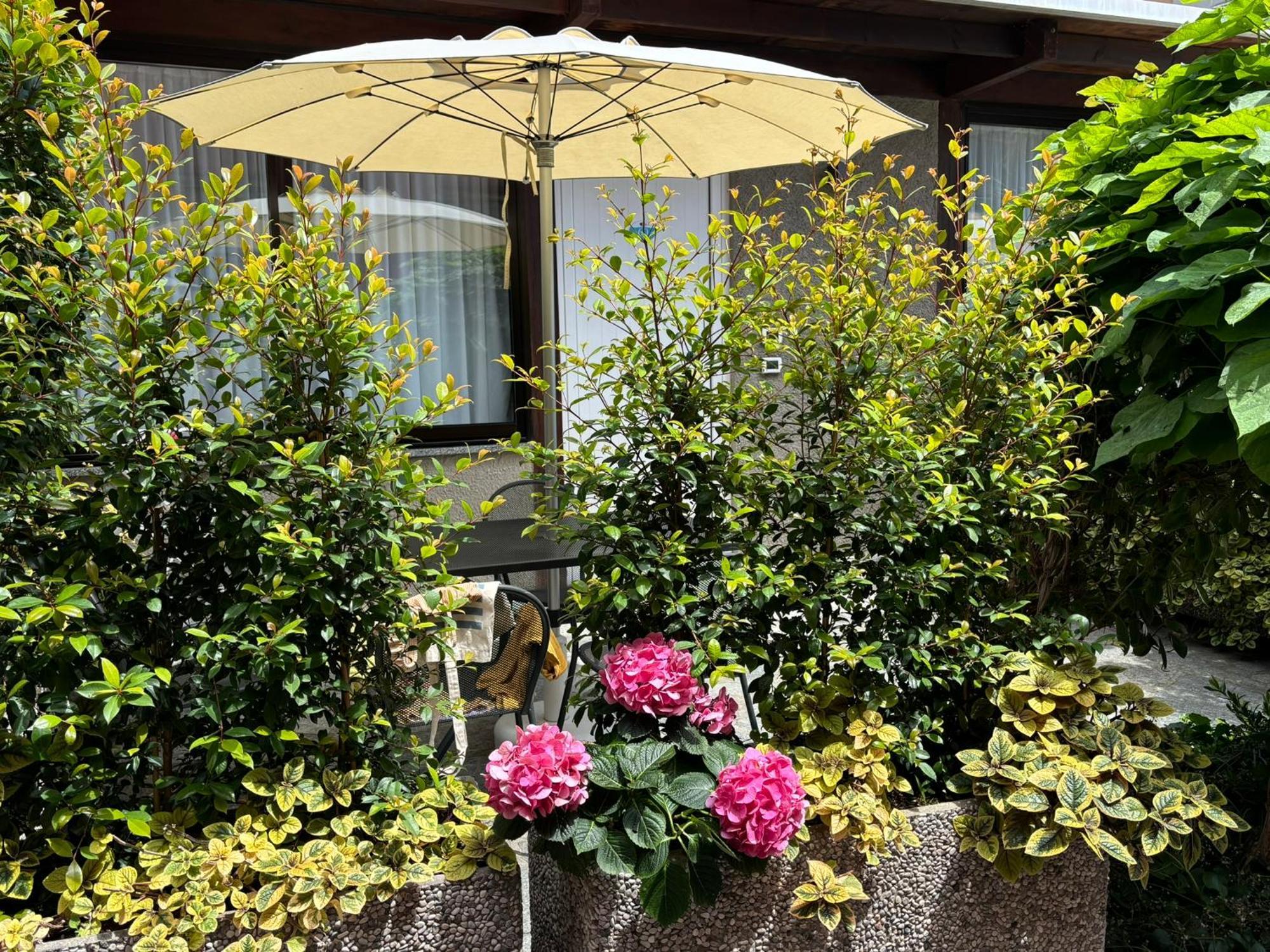 Hotel Delle Rose San Bartolomeo Al Mare Buitenkant foto